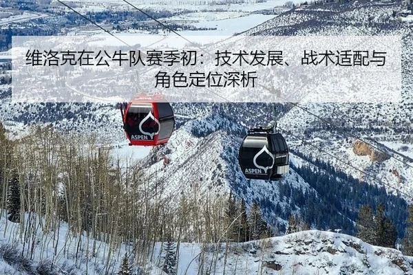 维洛克在公牛队赛季初：技术发展、战术适配与角色定位深析